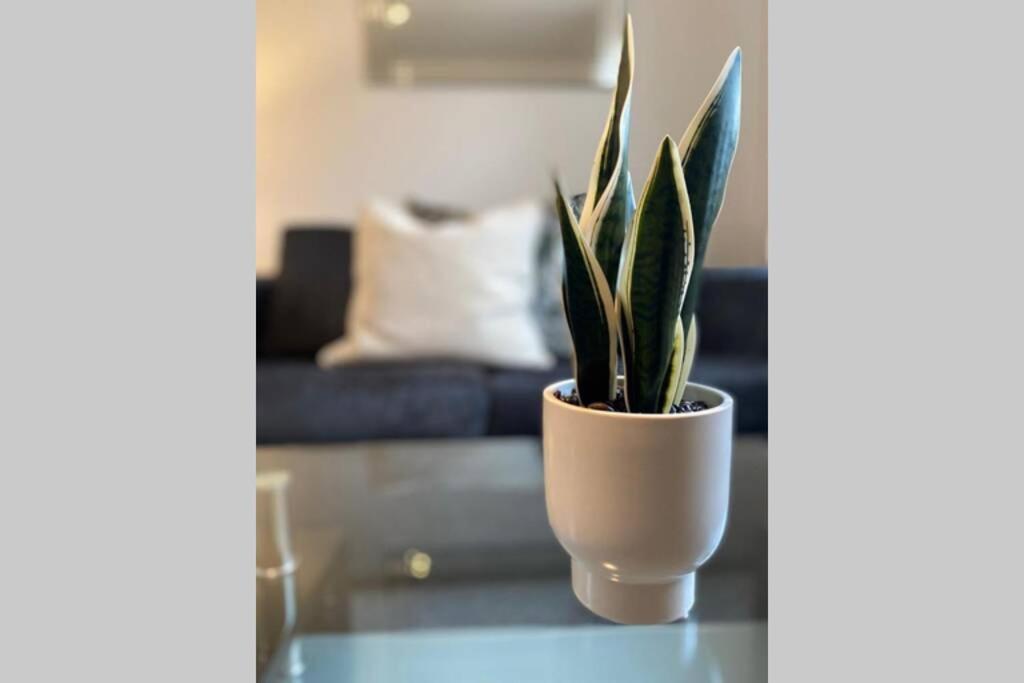 Alicia Newport By Mia Living 2 Bedroom Apartment With Dedicated Parking ภายนอก รูปภาพ